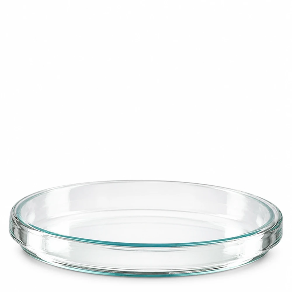 Petrimalja 100x15mm lasi Yksittäinen lasinen petrimalja, 100 x 15 mm, kuvattu ylhäältä sivulta valkoisella taustalla