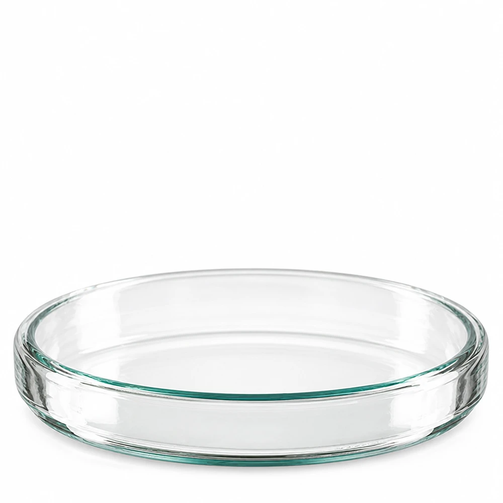 Petrimalja 90x15mm lasia Yksittäinen, läpinäkyvästä borosilikaattilasista valmistettu petrimalja, 90 x 15 mm, kuvattu ylhäältä vinosti