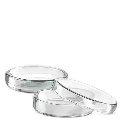 Petri-maljat (lasia)